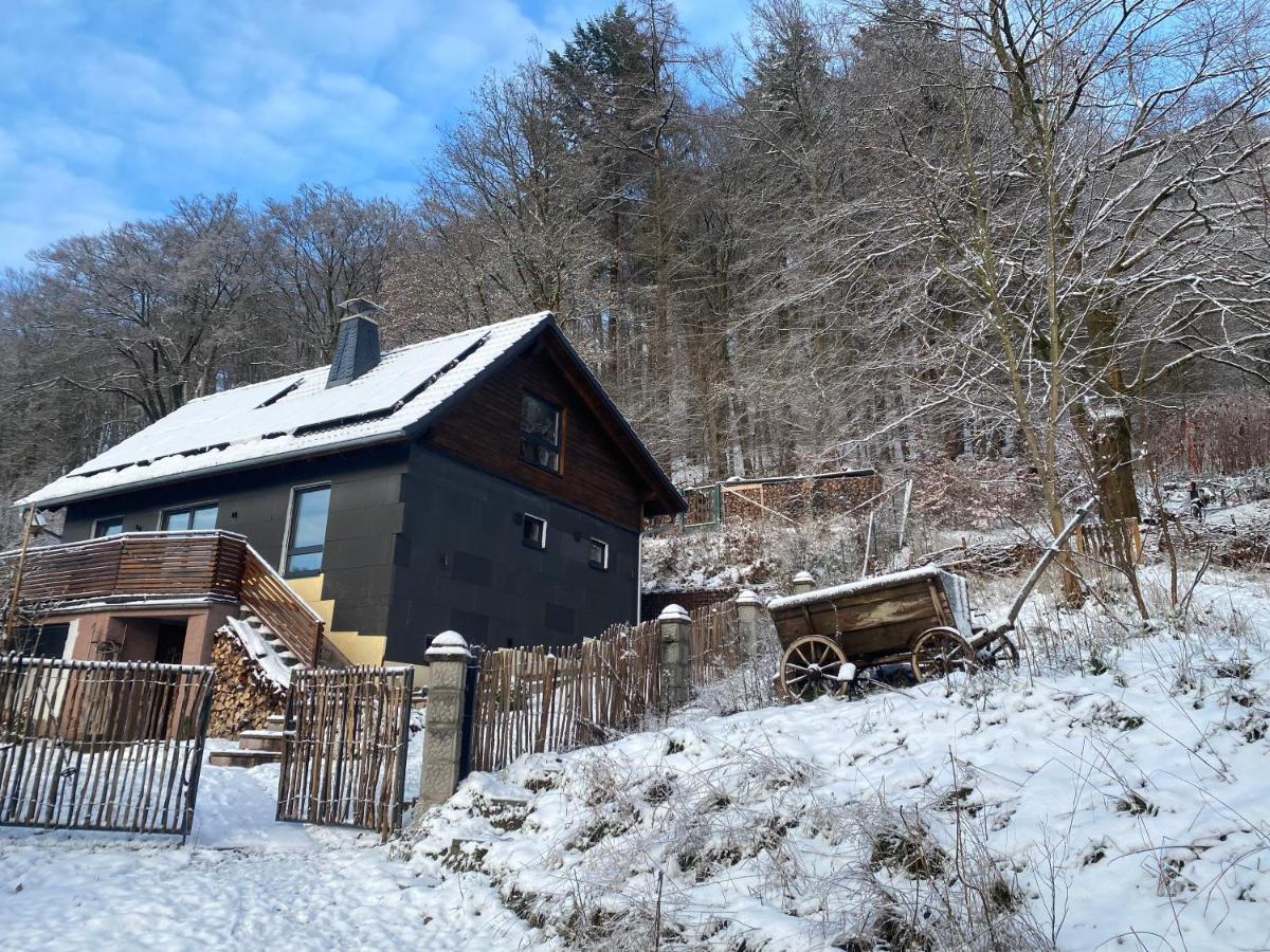 Chalet Huettenzauber Zella-Mehlis Dış mekan fotoğraf